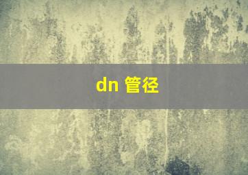 dn 管径